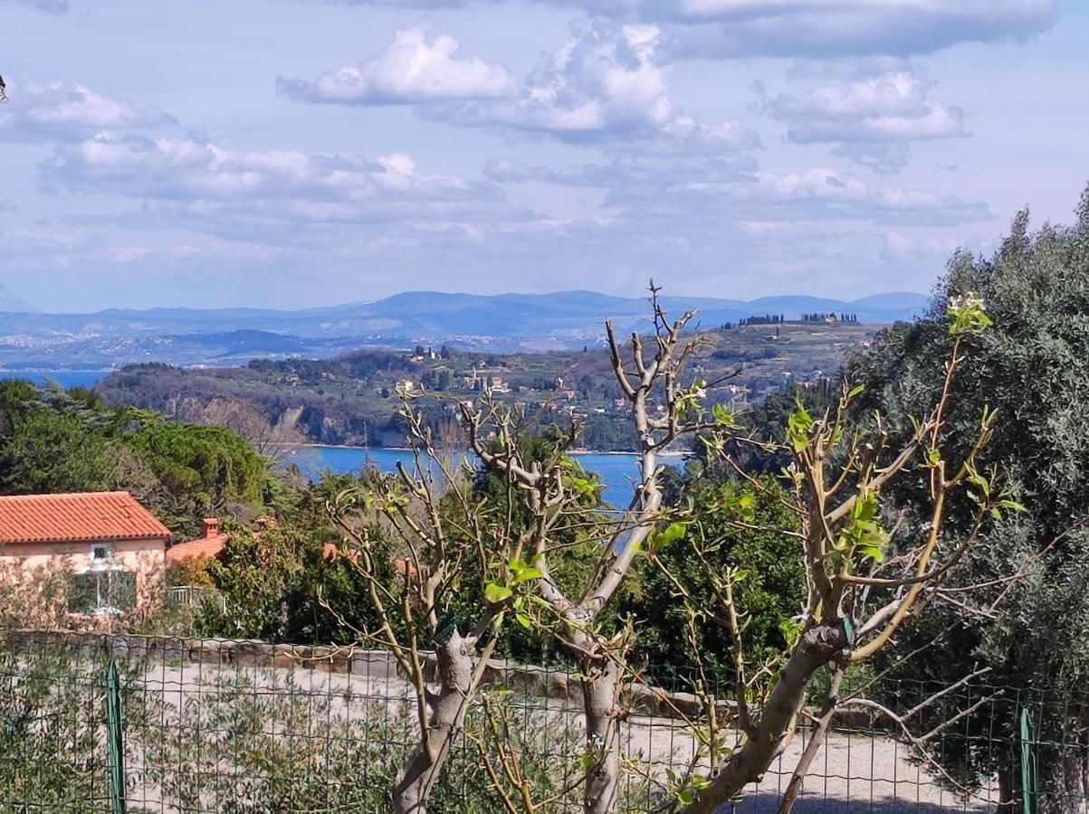 Apartma Sonja 2 Pirano Esterno foto